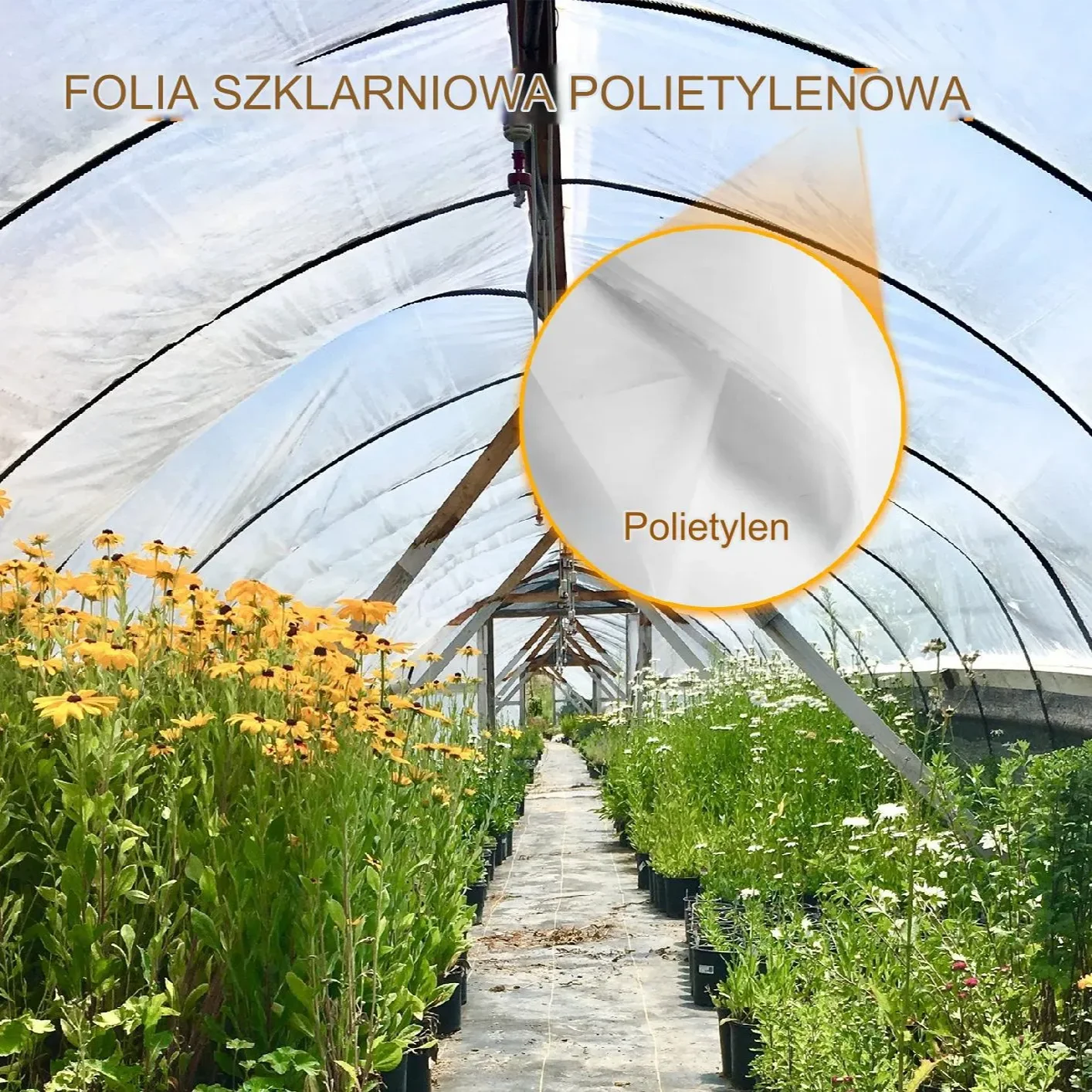 Folia Szklarniowa 3 x 7,6 m - obrazek 6