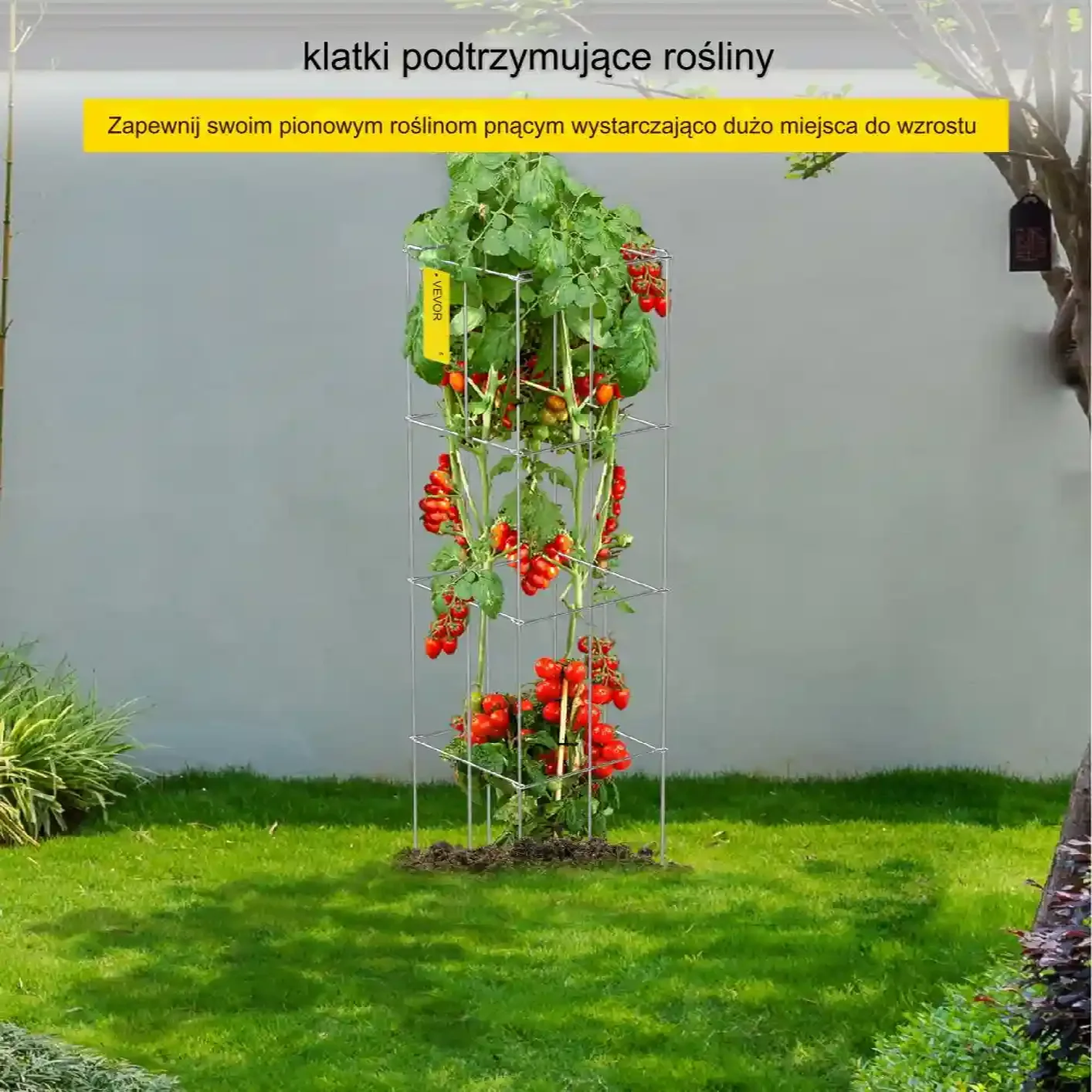 PODPÓRKI TYCZKI DO POMIDORÓW RÓŻ PERGOLA ROŚLIN KWIATY 5 SZT. - obrazek 6