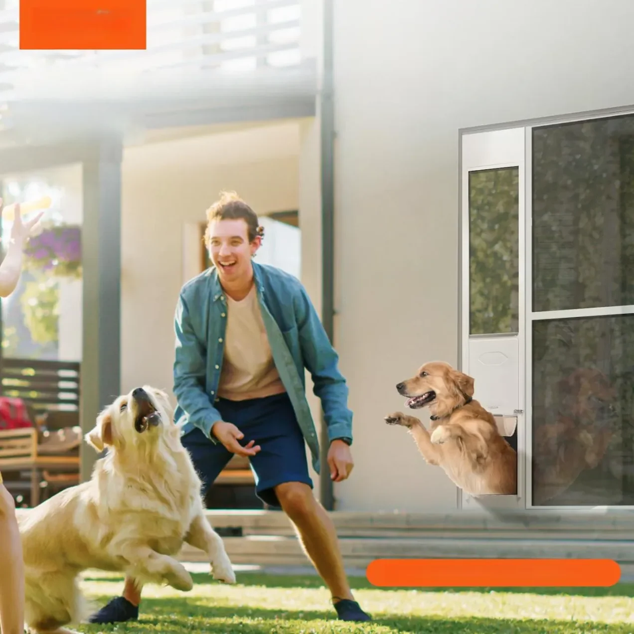 Drzwiczki dla Psa do Drzwi Przesuwnych Aluminiowe Regulacja Wysokości – XL - obrazek 5