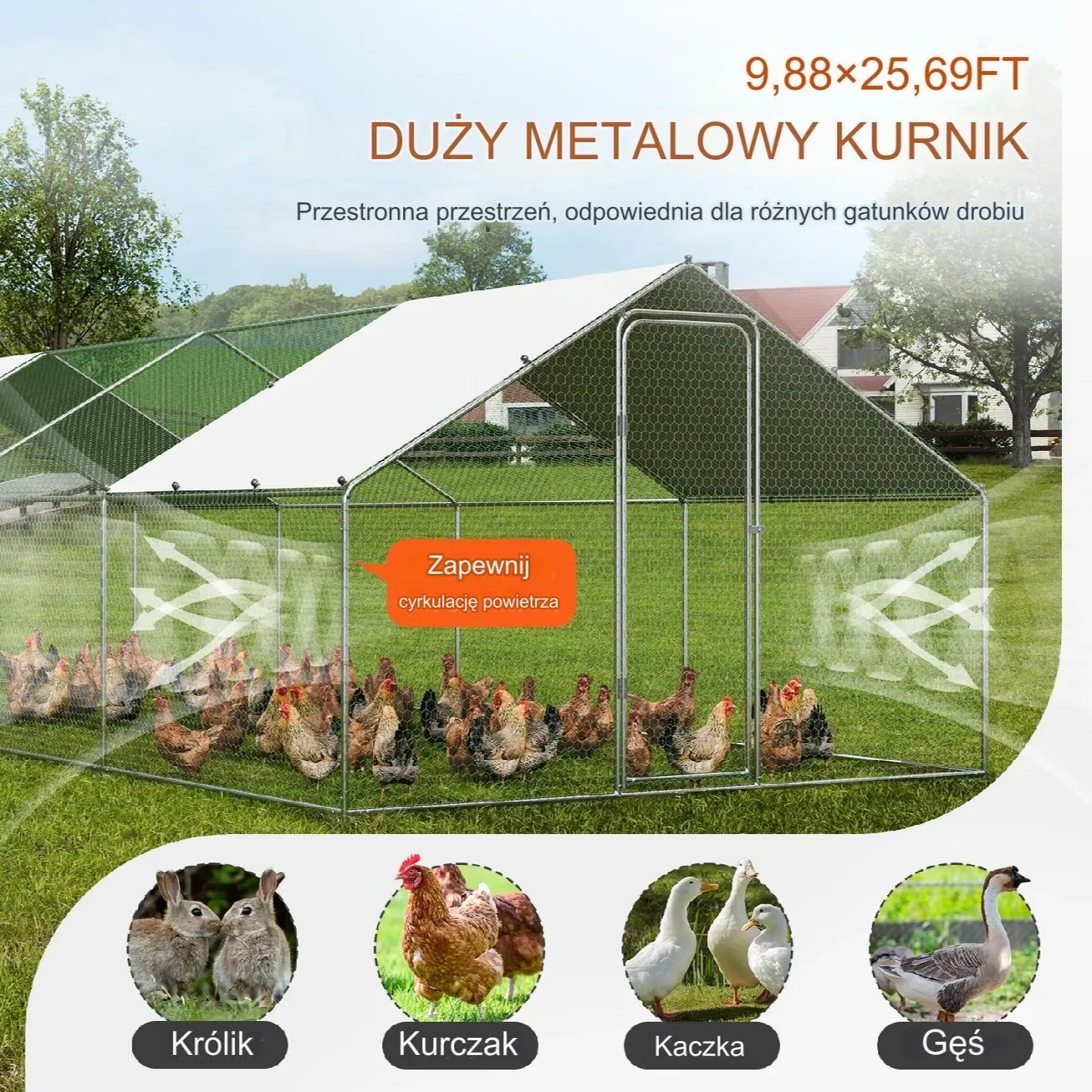 Duża Klatka Wybieg dla Kurczaków 8 x 3 x 2 m - obrazek 3