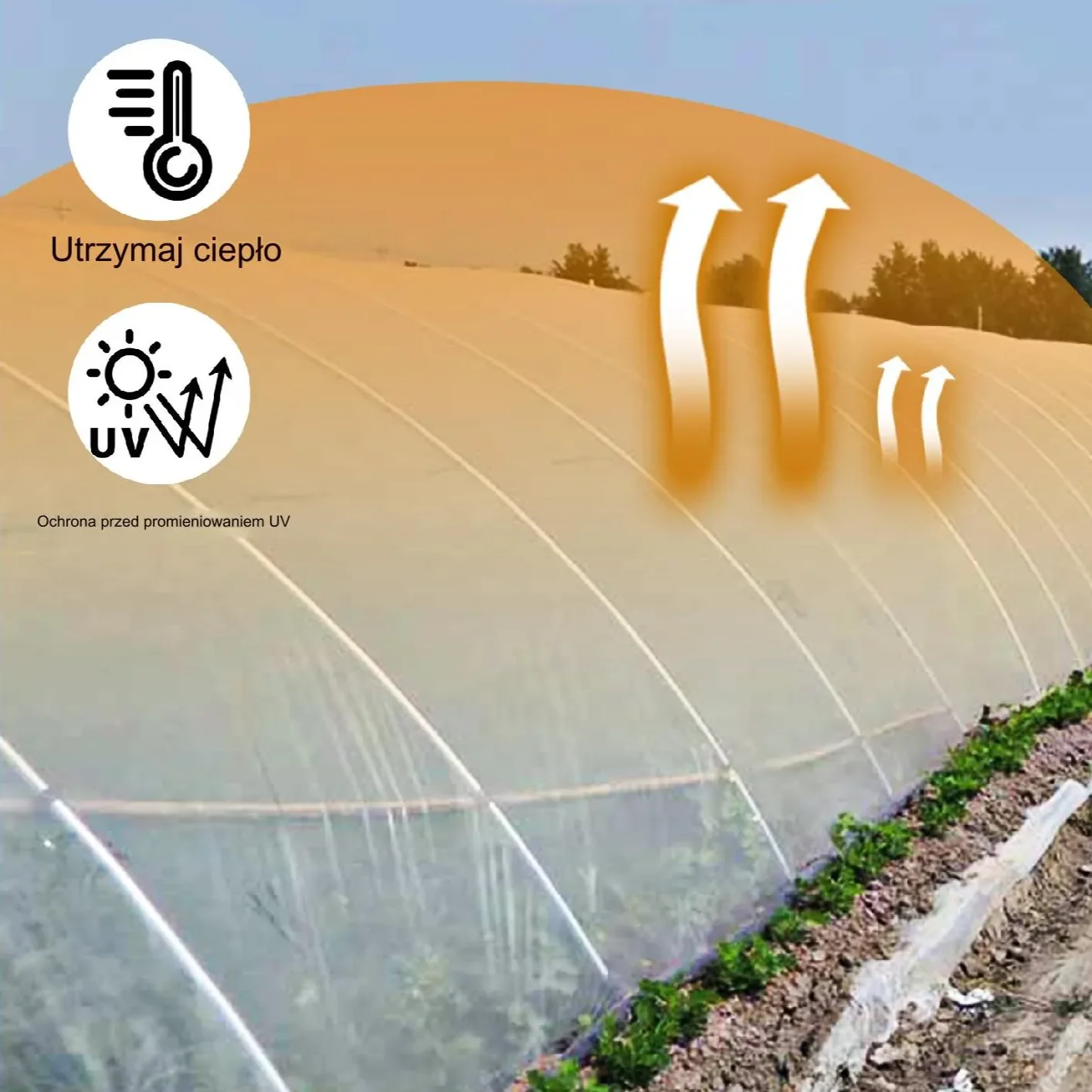 Folia Szklarniowa 3,6 x 7,6 m - obrazek 3