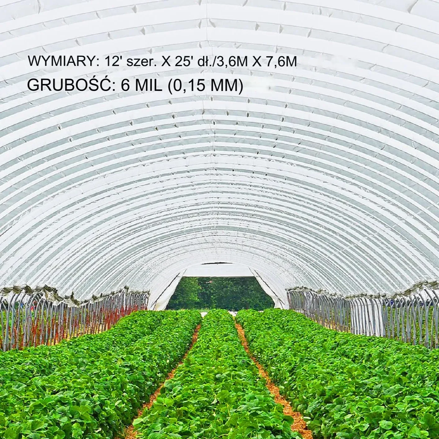 Folia Szklarniowa 3,6 x 7,6 m - obrazek 2