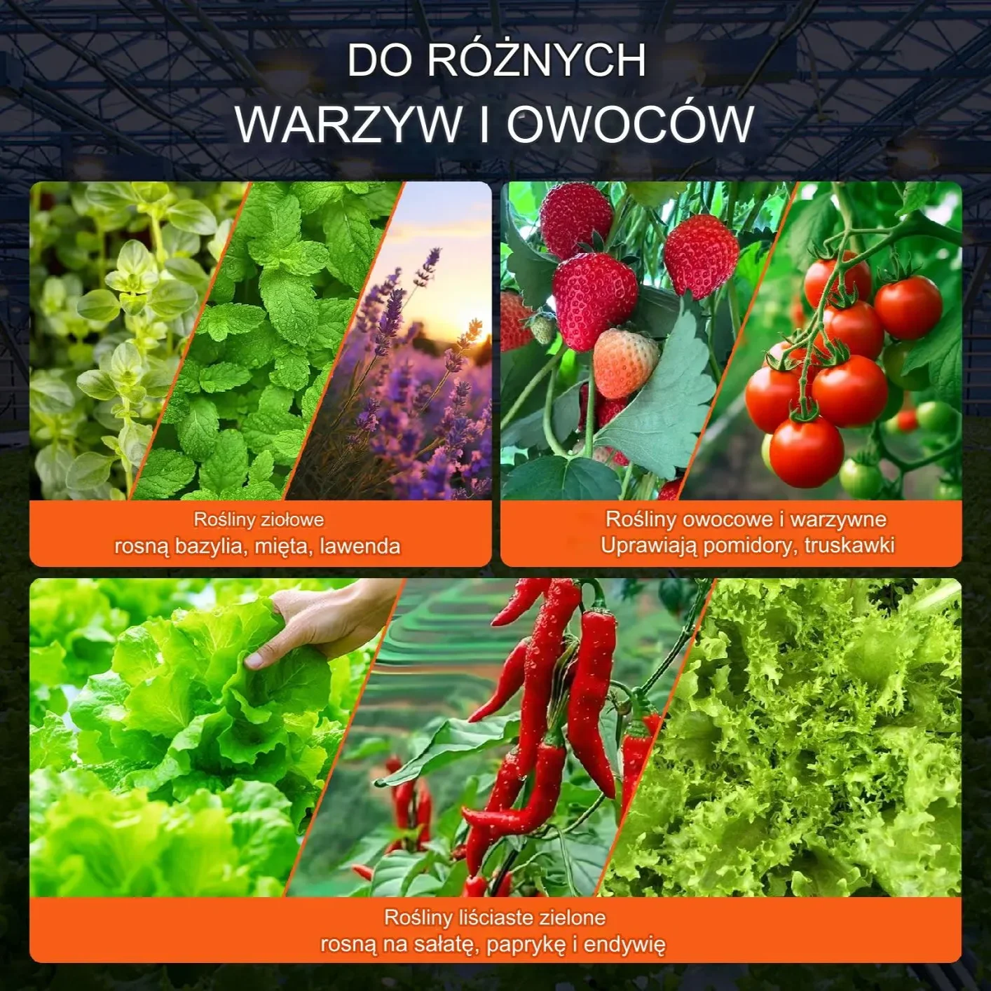 System do Uprawy Hydroponicznej Cztery Doniczki - obrazek 5