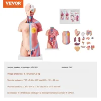 Model Ludzkiego Ciała 23 Części Unisex