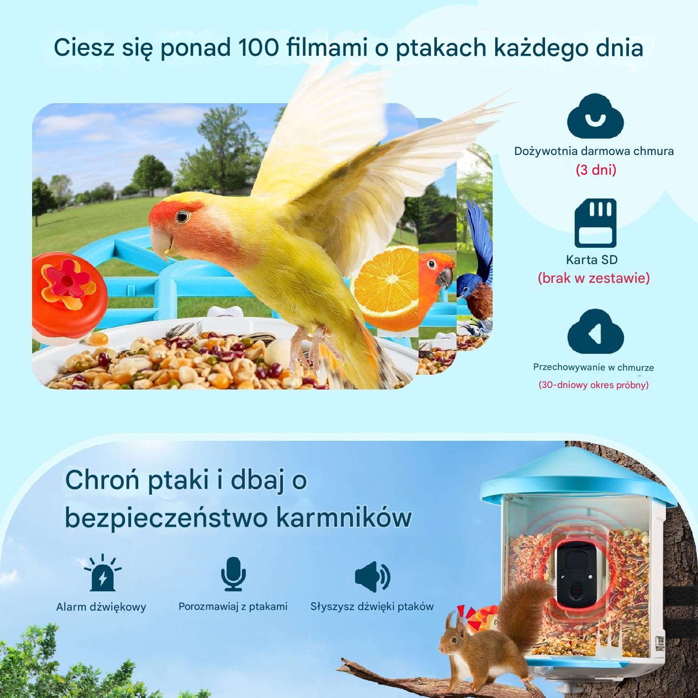 Karmnik z kamerą 2K AI solarny automatyczne nagrywanie ptaków wifi - obrazek 4