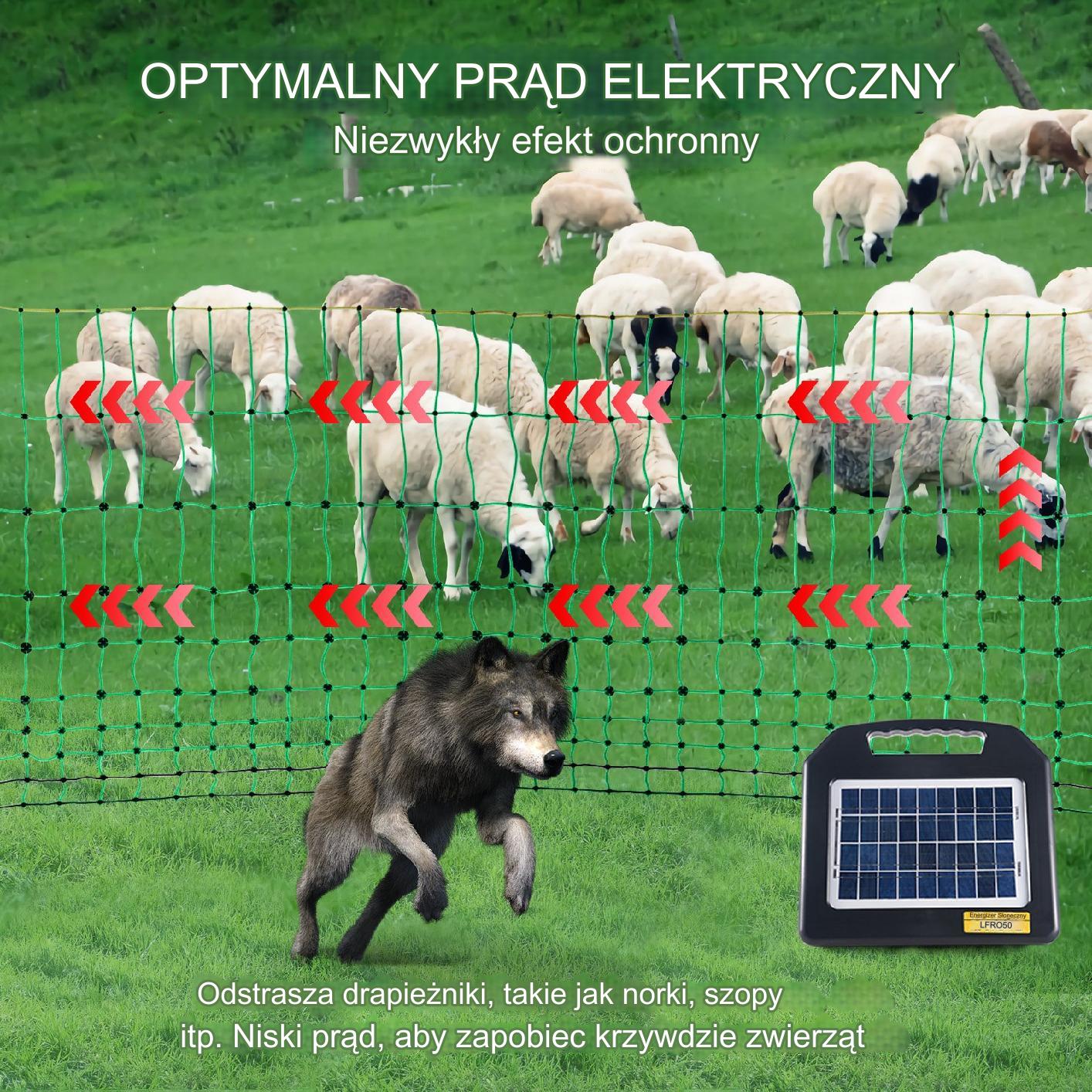 Siatka elektryczna dla kur gęsi indyków zielona 100cmx50m - obrazek 3