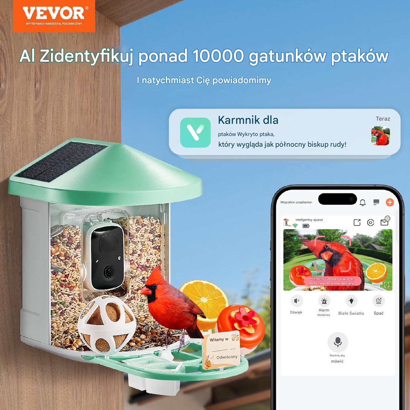 Karmnik z kamerą 2K AI solarny rozpoznaje ptaki wifi dla ornitologa - obrazek 7