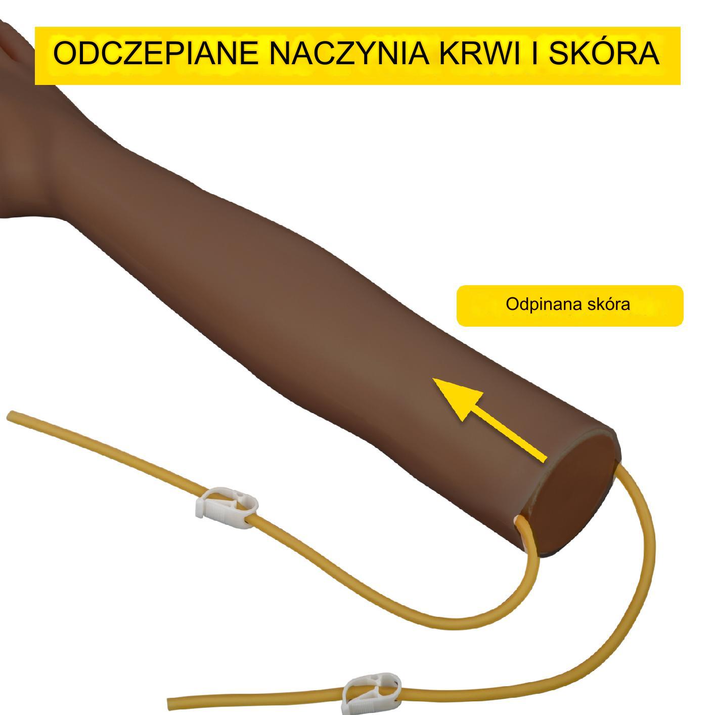 Fantom ręka ramię wkłucia iniekcje trenażer mocna zestaw nauka medyczna BHP - obrazek 4