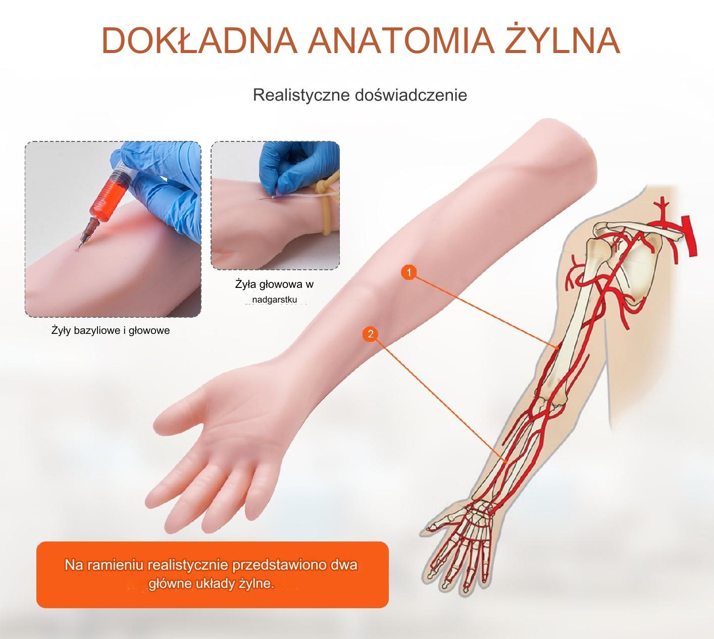 Ramię treningowe do pobierania krwi i iniekcji, z torbą, dla pielęgniarek - obrazek 7