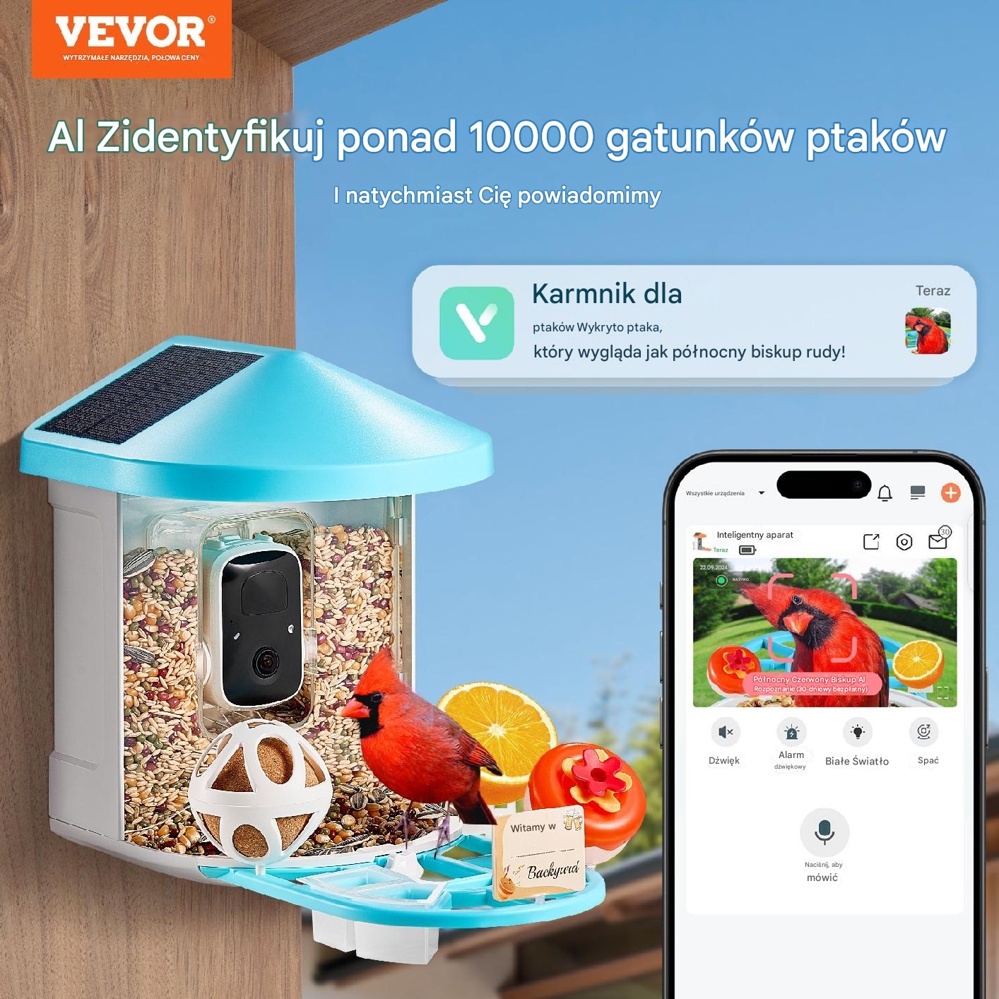 Karmnik z kamerą 2K AI solarny automatyczne nagrywanie ptaków wifi - obrazek 7