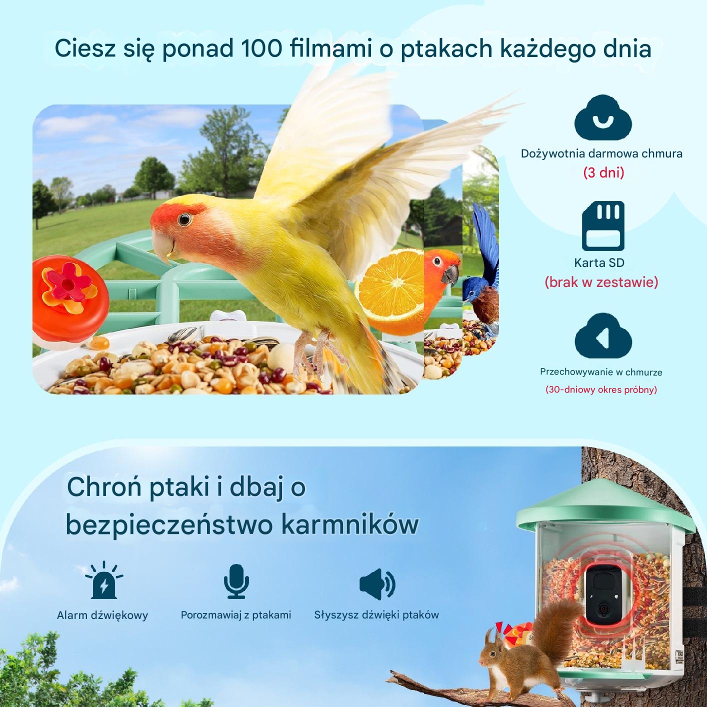 Karmnik z kamerą AI solarny rozpoznaje ptaki smart wifi dla ornitologa - obrazek 4