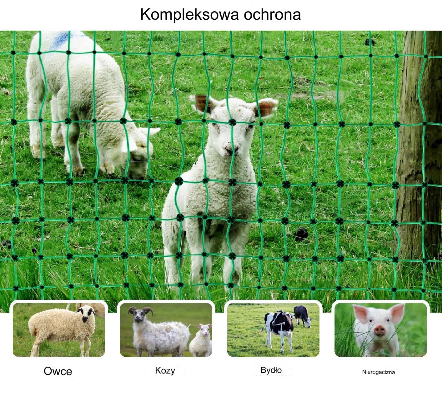 Siatka elektryczna dla kur gęsi indyków zielona 100cmx50m - obrazek 5