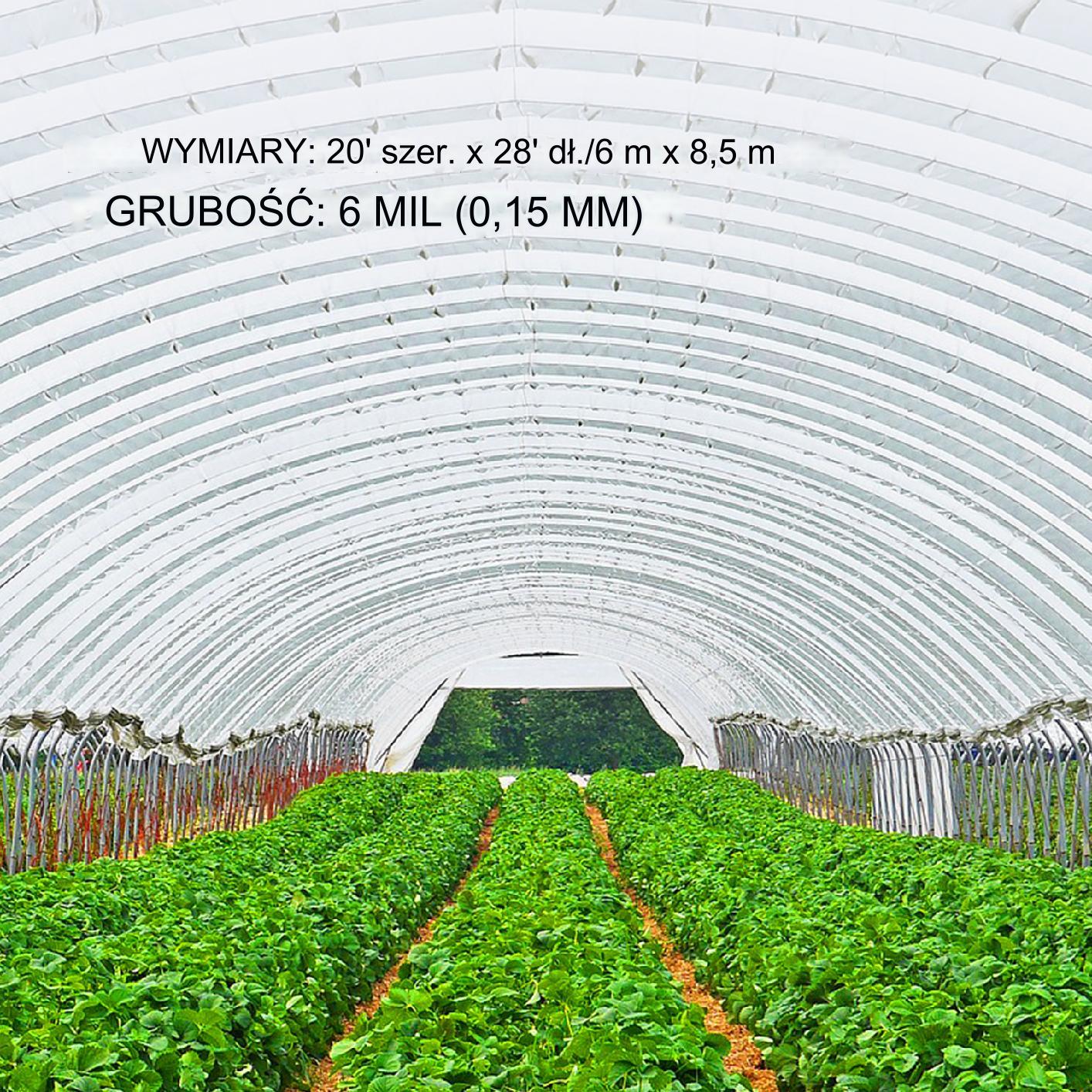 Folia do szklarni szklarniowa Folia Pokrycie do tunelu 6m x 8,5m - obrazek 5