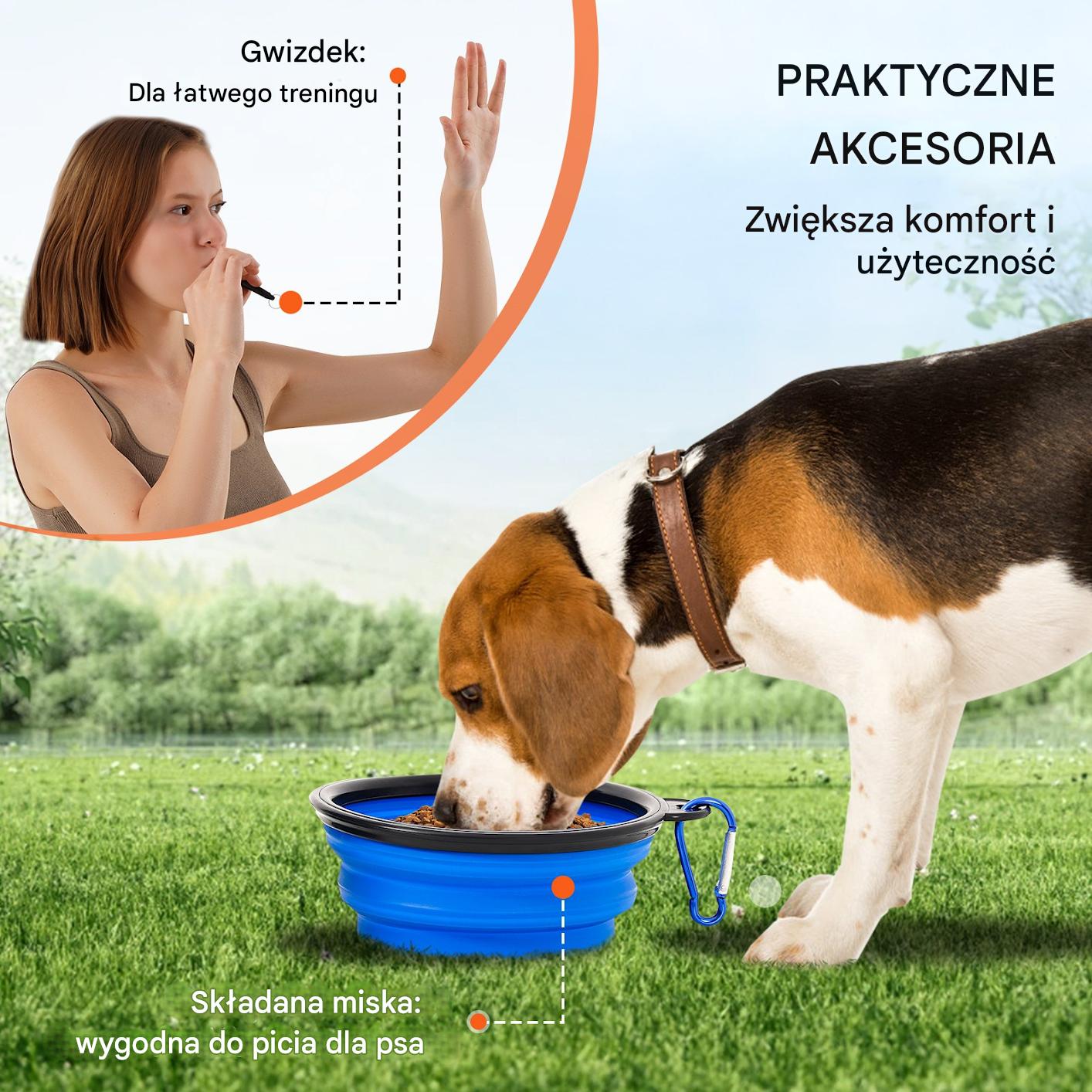 Sprzęt do treningu zwinności dla psa 5 elementów niebieski - płotki tunele - obrazek 6